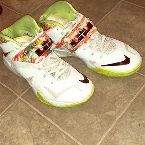 Lebron Sneakers
